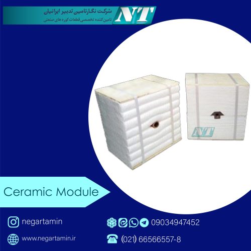 ceramic module